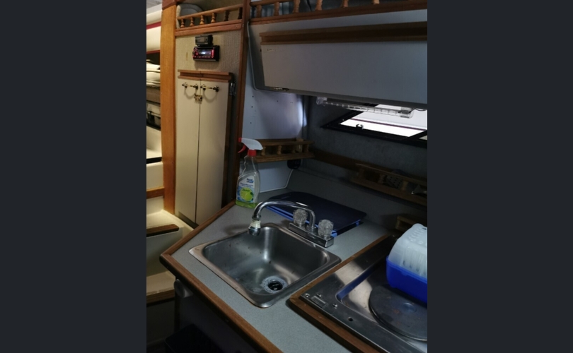 Regal 255 XL Ambassador-kuva-5